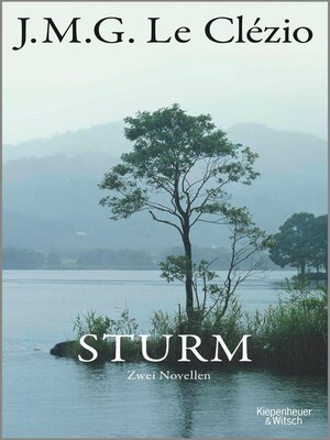 cover image of Sturm